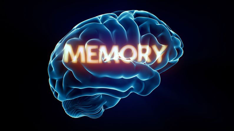 CBD also helps regulate emotional memory processing