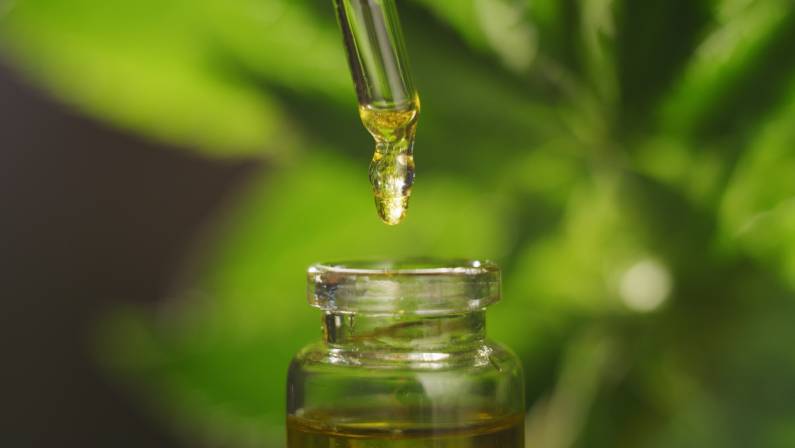 Macro close up of droplet dosing a biological and ecological hemp plant herbal pharmaceutical cbd oil from a jar.