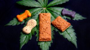 Dog treats and cannabis leaves