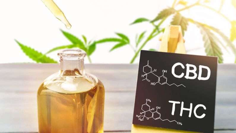 difference between CBD and THC Hunger