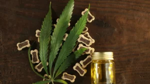 Medical marijuana cannabis cbd oil dogs treats