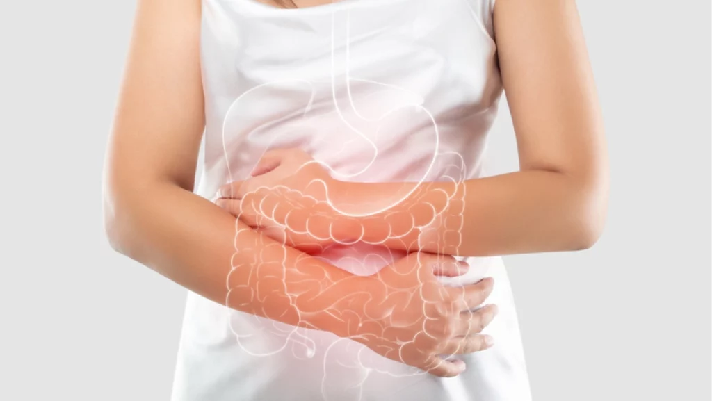 illustration of the intestine and internal organs in the women's body against a gray background and Space left side. The concept of medical treatment and healthcare.