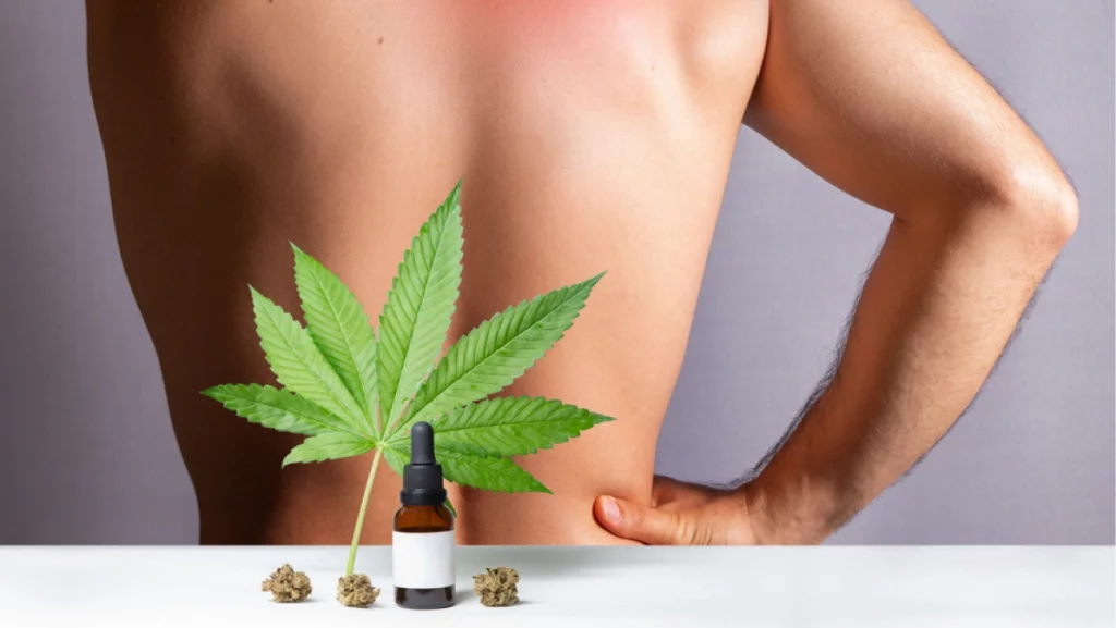 CBD oils designed for athletes to treat muscle discomfort, oil made from cannabis extract to care his injured back, medical pain treatment. Isolated on gray background