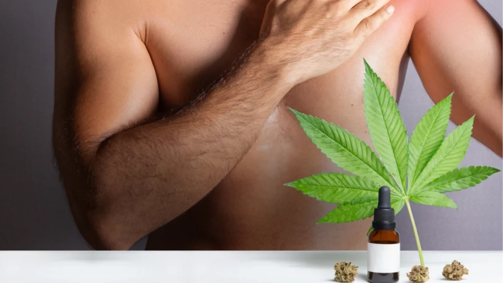 CBD oils designed for athletes to treat muscle discomfort, man applying oil made from cannabis extract over injured shoulder, medical pain treatment. Isolated on gray background