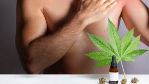 CBD oils designed for athletes to treat muscle discomfort, man applying oil made from cannabis extract over injured shoulder, medical pain treatment. Isolated on gray background